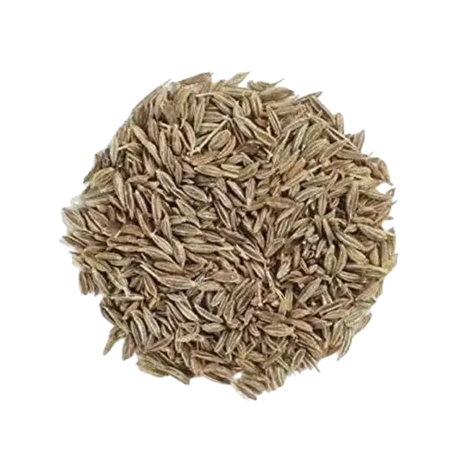 Premium Whole Jeera (Cumin Seeds)