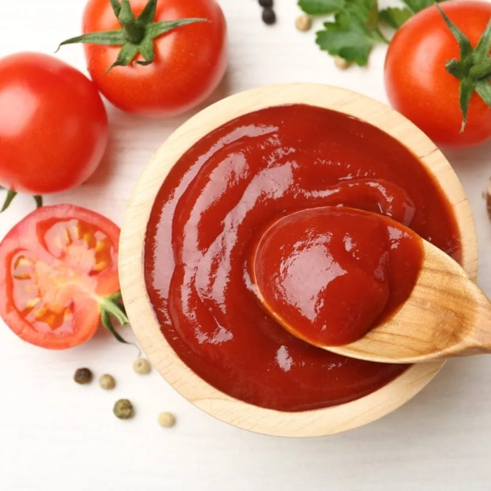 Temptin Tomato Ketchup Pouch